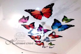 натяжные потолки с фотопечатью бабочки